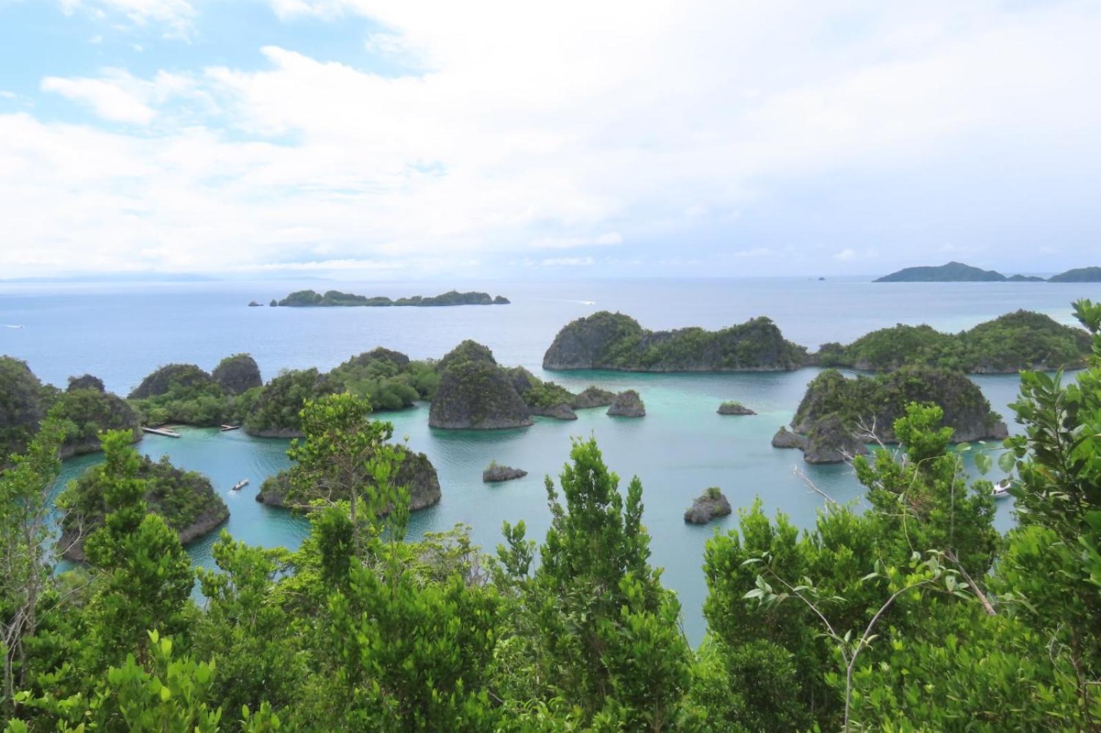 Nyanse Homestay - Raja Ampat Besir Zewnętrze zdjęcie