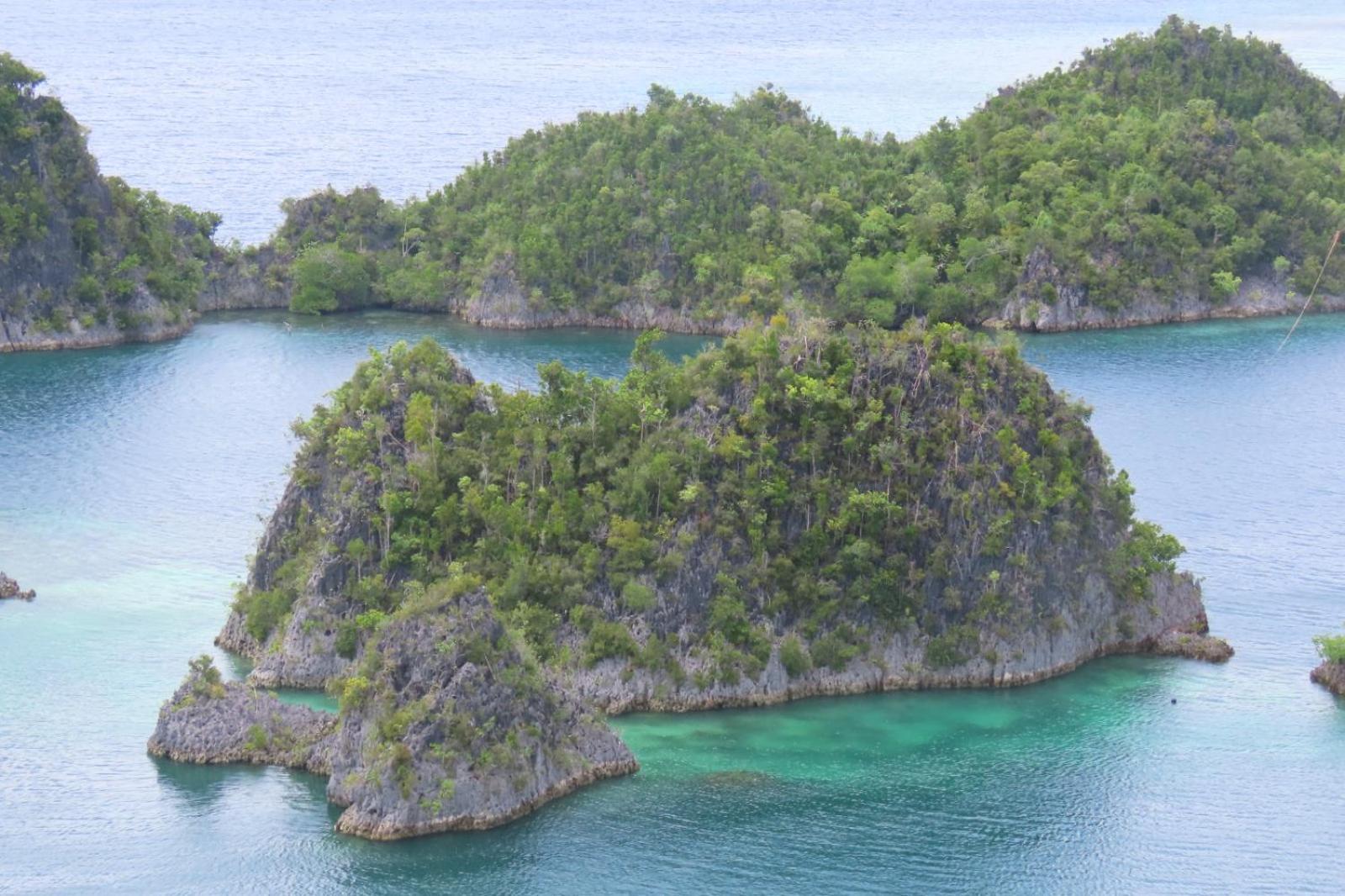 Nyanse Homestay - Raja Ampat Besir Zewnętrze zdjęcie