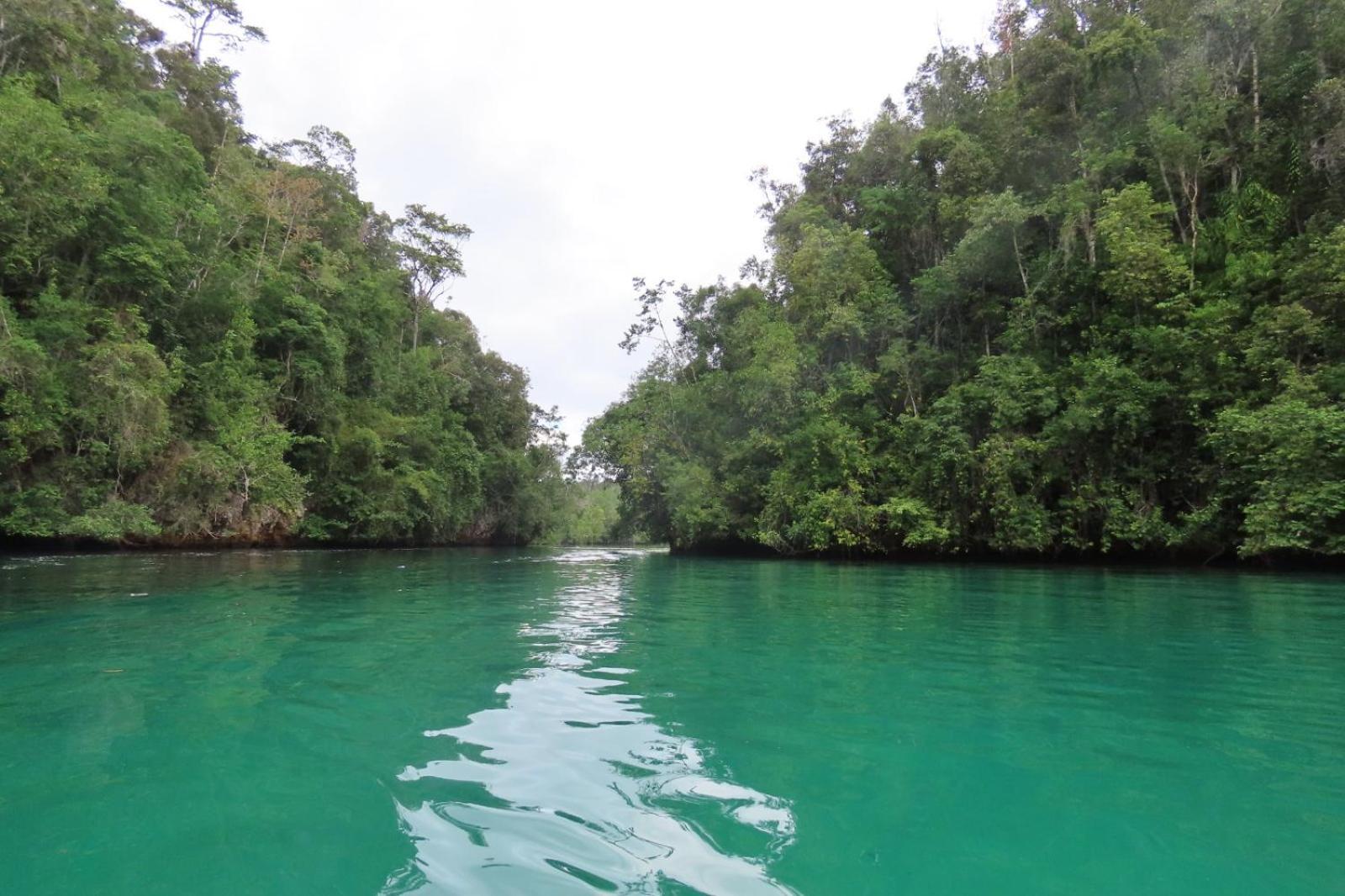 Nyanse Homestay - Raja Ampat Besir Zewnętrze zdjęcie