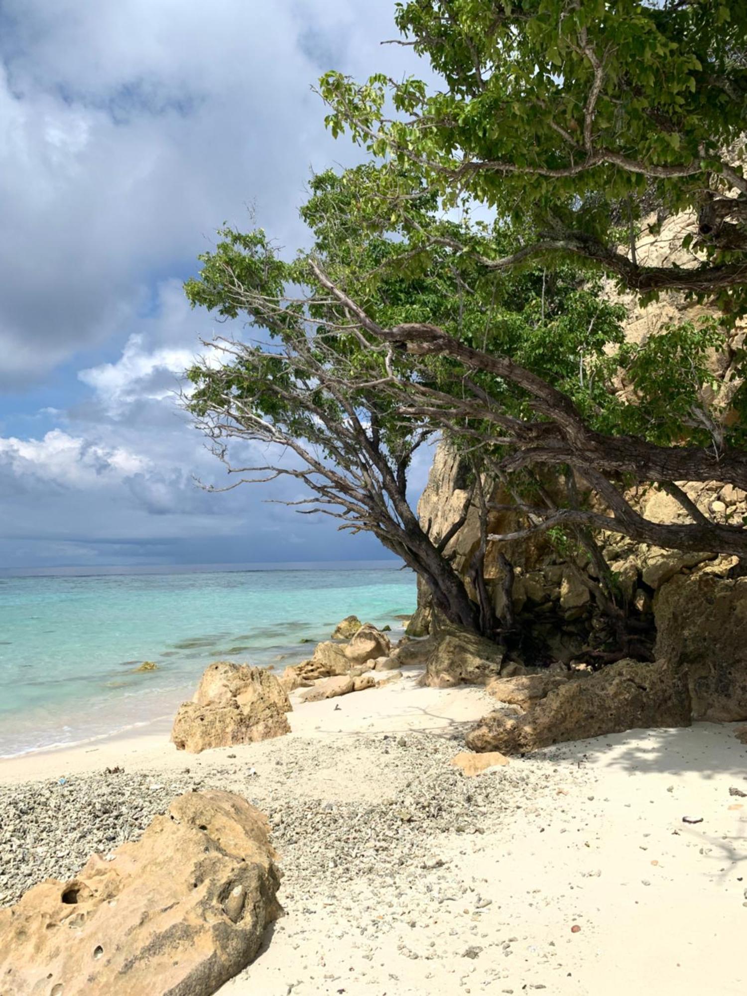 Nyanse Homestay - Raja Ampat Besir Zewnętrze zdjęcie
