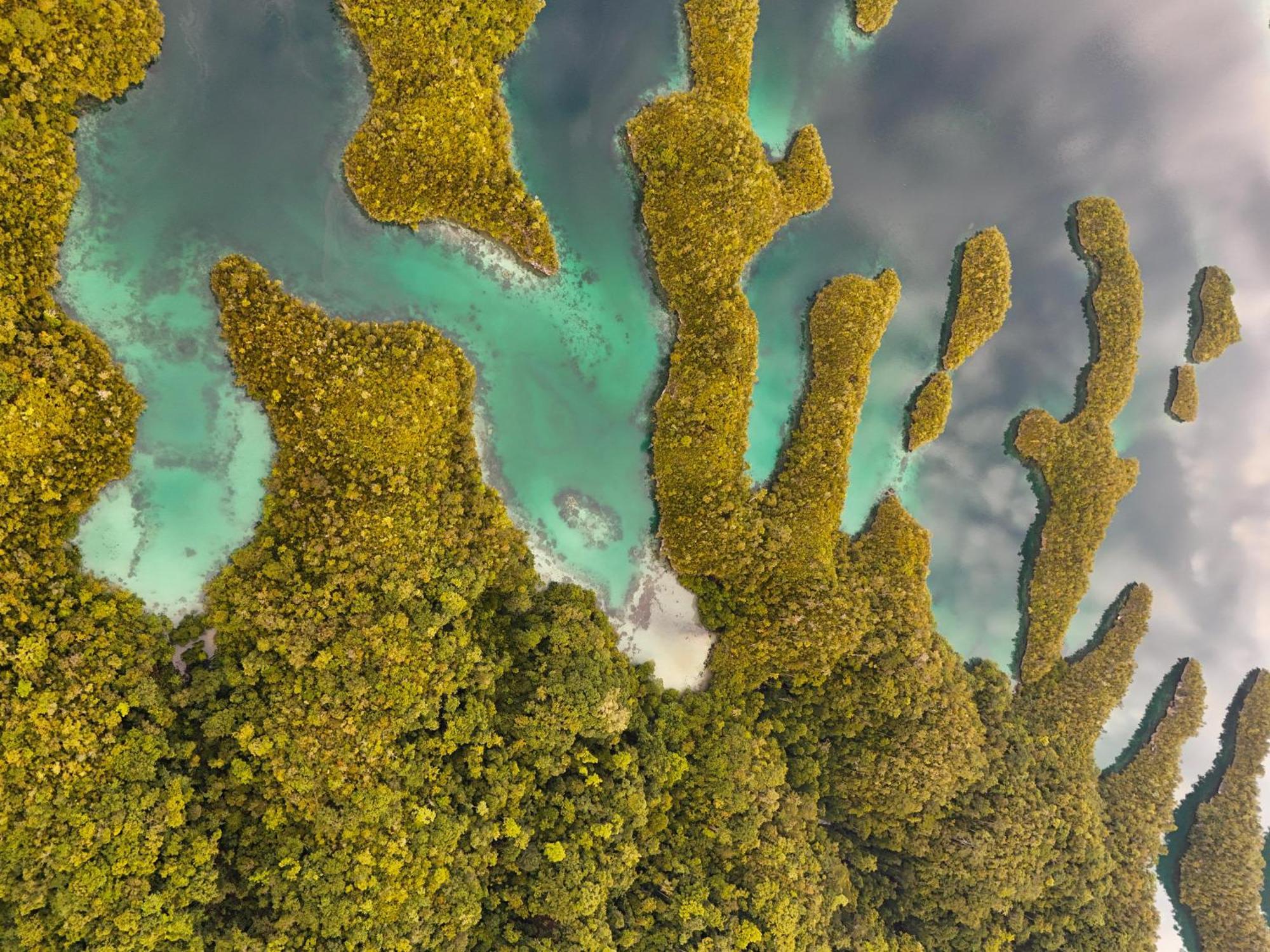 Nyanse Homestay - Raja Ampat Besir Zewnętrze zdjęcie