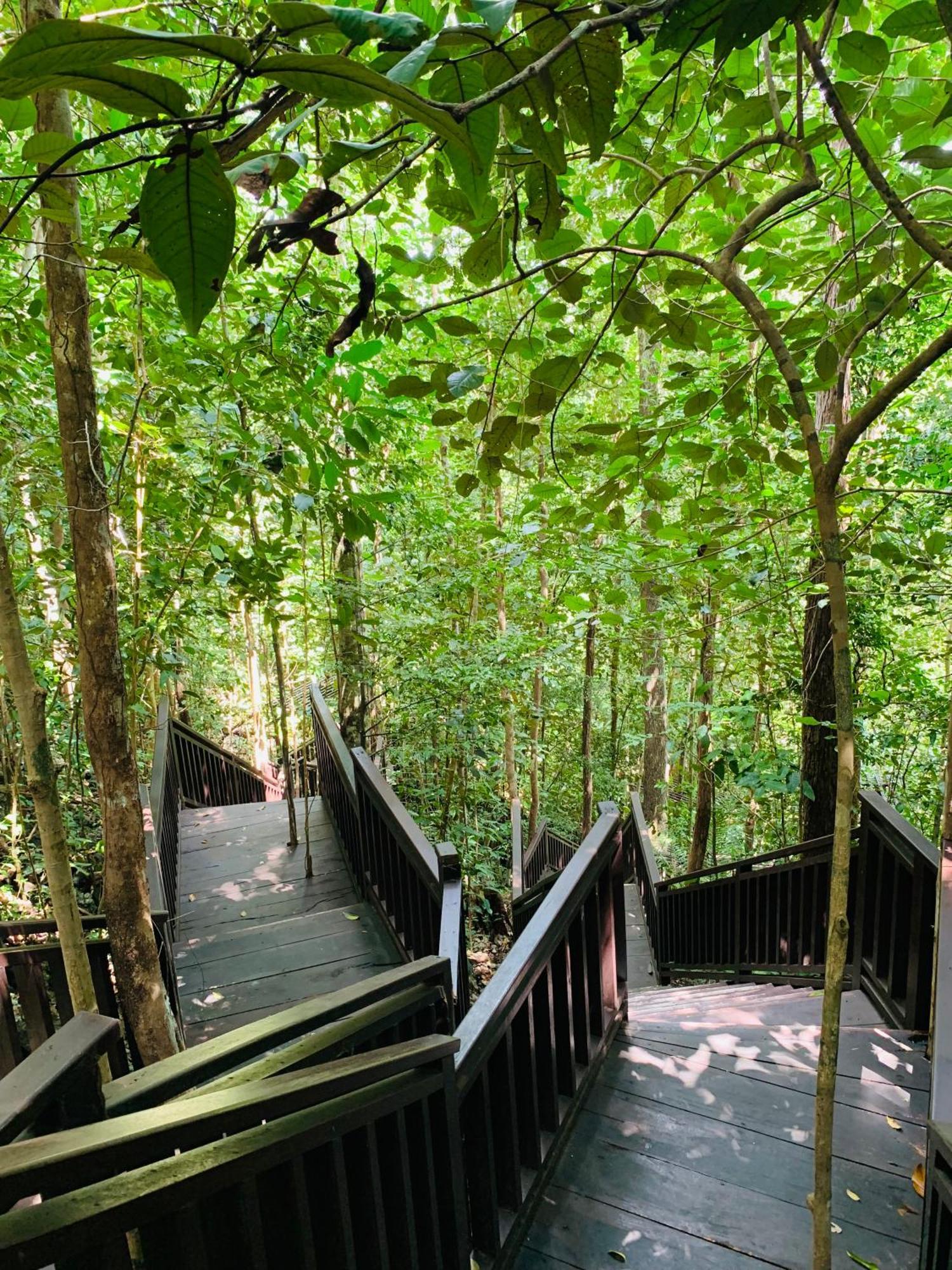 Nyanse Homestay - Raja Ampat Besir Zewnętrze zdjęcie